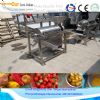 popular fruit pulp extractor machine / tomato juice extractor